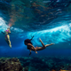 Illustration for article titled The beautiful and surreal sensuality of Sarah Lee's underwater photos